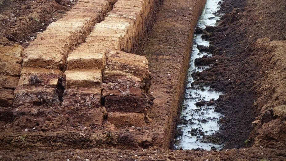 Бурштинова лихоманка на Рівненщині: у колишні клондайки водять туристів