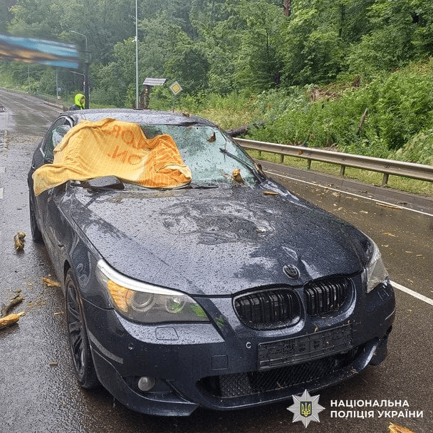 Во Львове дерево упало на авто во время движения: пострадала 17-летняя пассажирка (фото) 3 Во Львове дерево упало на авто во время движения: пострадала 17-летняя пассажирка (фото)