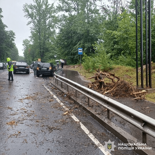 Во Львове дерево упало на авто во время движения: пострадала 17-летняя пассажирка (фото) 4 Во Львове дерево упало на авто во время движения: пострадала 17-летняя пассажирка (фото)