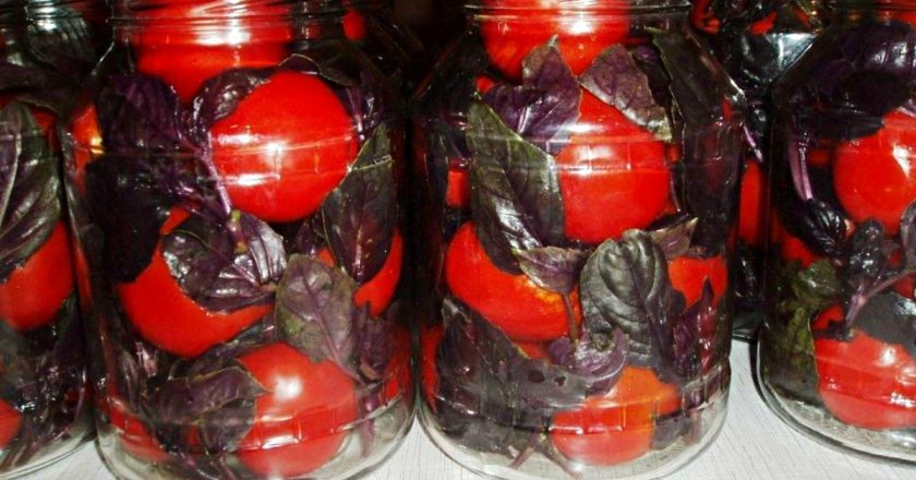 Мариновані помідори з базиліком: неймовірно смачна та ароматна закуска ➤ Prozoro.net.ua