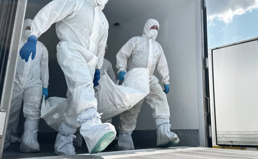 В Украину вернули тела 522 погибших: РФ утверждает, что это украинцы ➤ Prozoro.net.ua