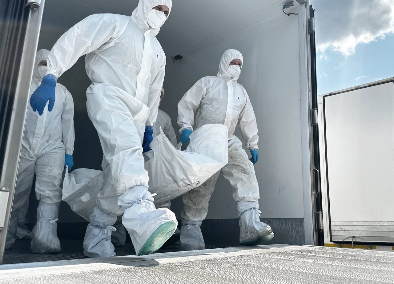 В Украину вернули тела 522 погибших: РФ утверждает, что это украинцы ➤ Главное.net