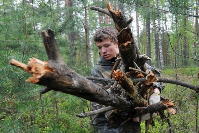 Поваленные деревья на обочине — можно ли забирать на дрова ➤ Prozoro.net.ua