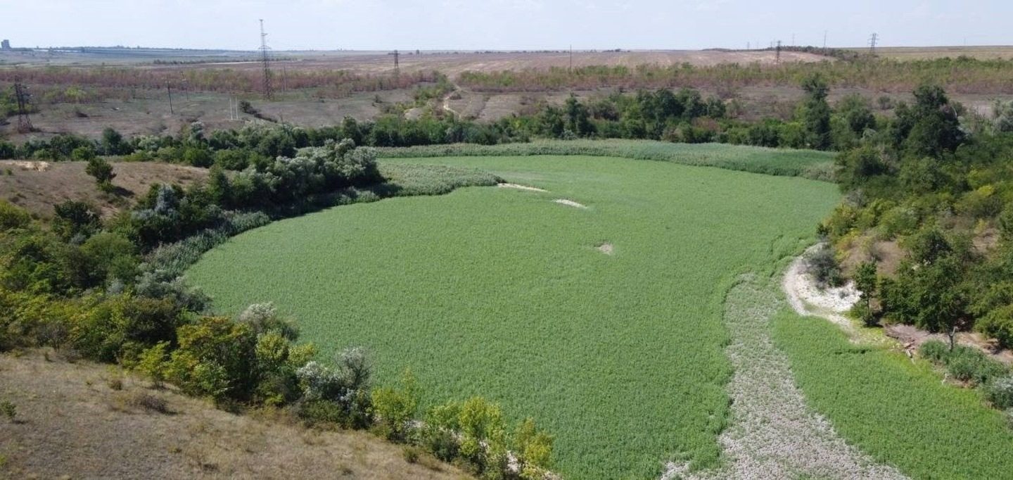 Екологи б’ють на сполох: руйнація Каховської дамби обернулася новими бідами