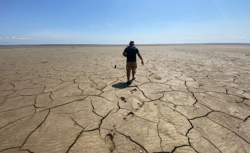 Екологи б’ють на сполох: руйнація Каховської дамби обернулася новими бідами