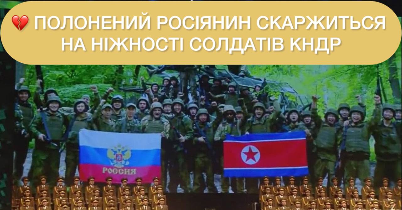 «Ходят за ручку и целуются в губы»: пленный оккупант пожаловался на солдат КНДР ➤ Prozoro.net.ua