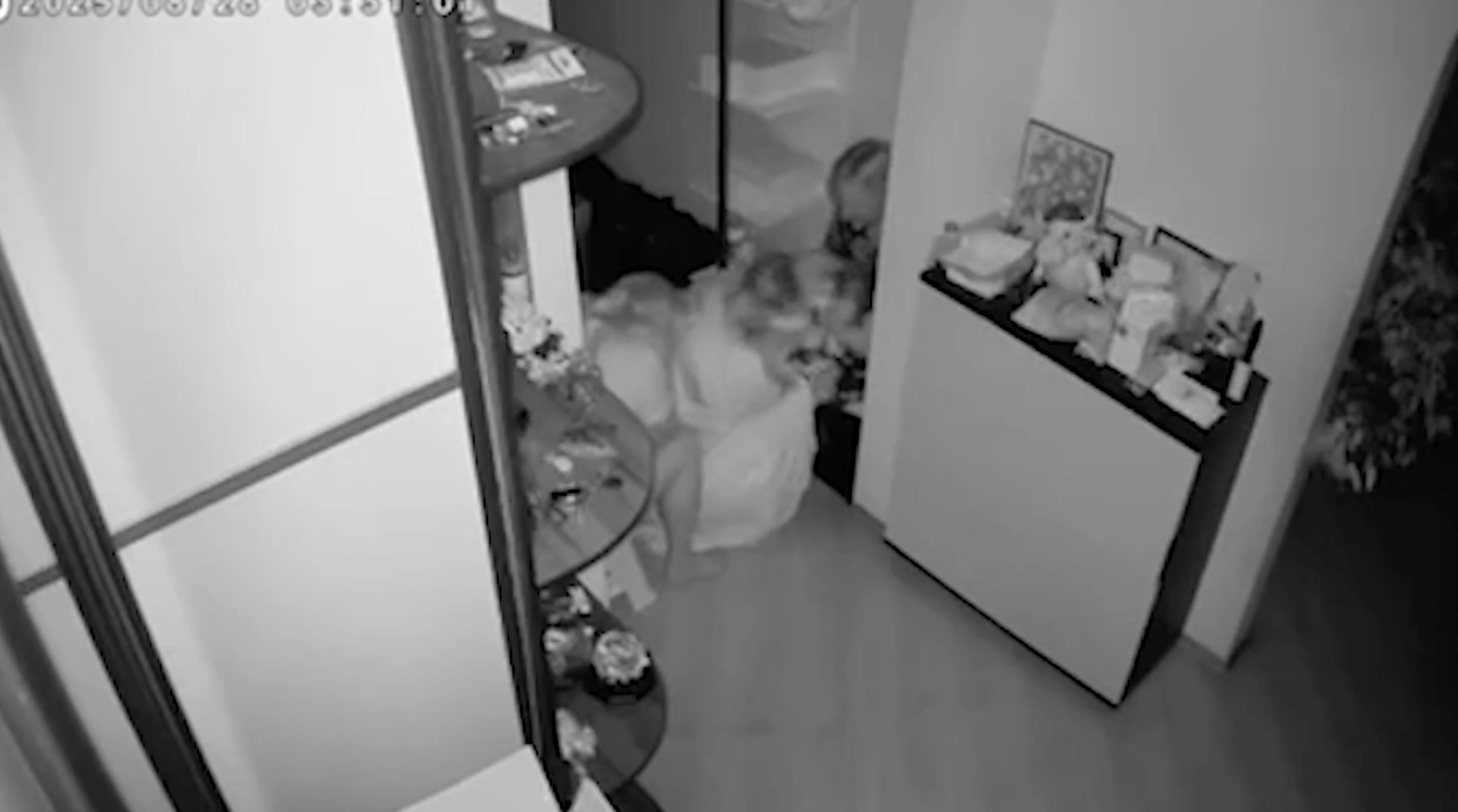 У квартирі працювала камера: момент влучання «Шахеда» (відео) ➤ Prozoro.net.ua