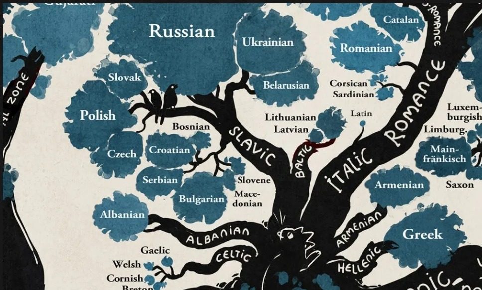 Какие языки ближе всего к украинскому: русский даже не в тройке