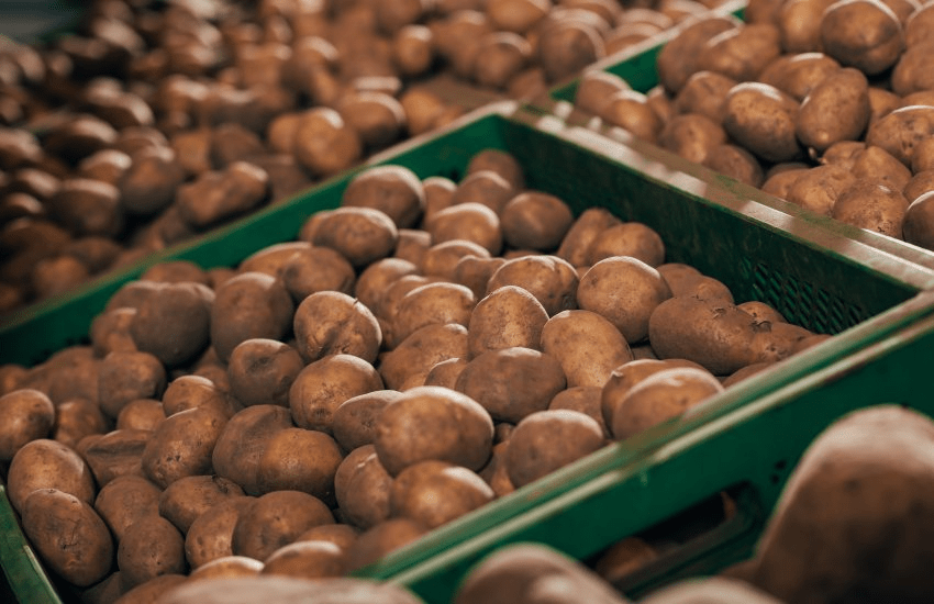 Запасайтеся продуктами: очікується стрибок цін на олію й картоплю