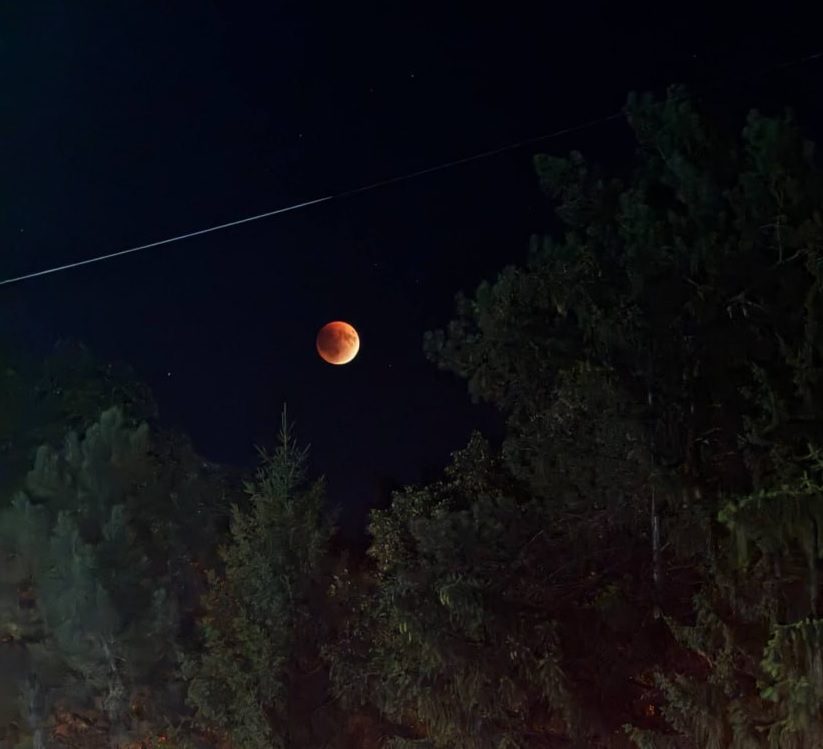 Кровавая Луна меняет сон и даже поведение животных