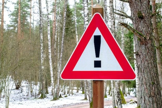 Украинцев предупредили о нашествии опасных животных ➤ Prozoro.net.ua