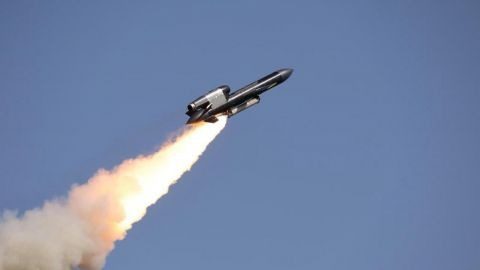 Експерт пояснив, чому Фламінго запускають на коротку дистанцію