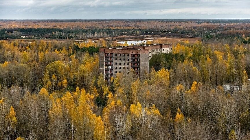 В Чернобыльской зоне ученые зафиксировали уникальные кадры