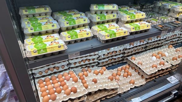 В Украине резко изменились цены на яйца: новые цифры удивили покупателей ➤ Prozoro.net.ua