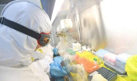 40 000-летний вирус вышел из спячки: может вспыхнуть новая пандемия