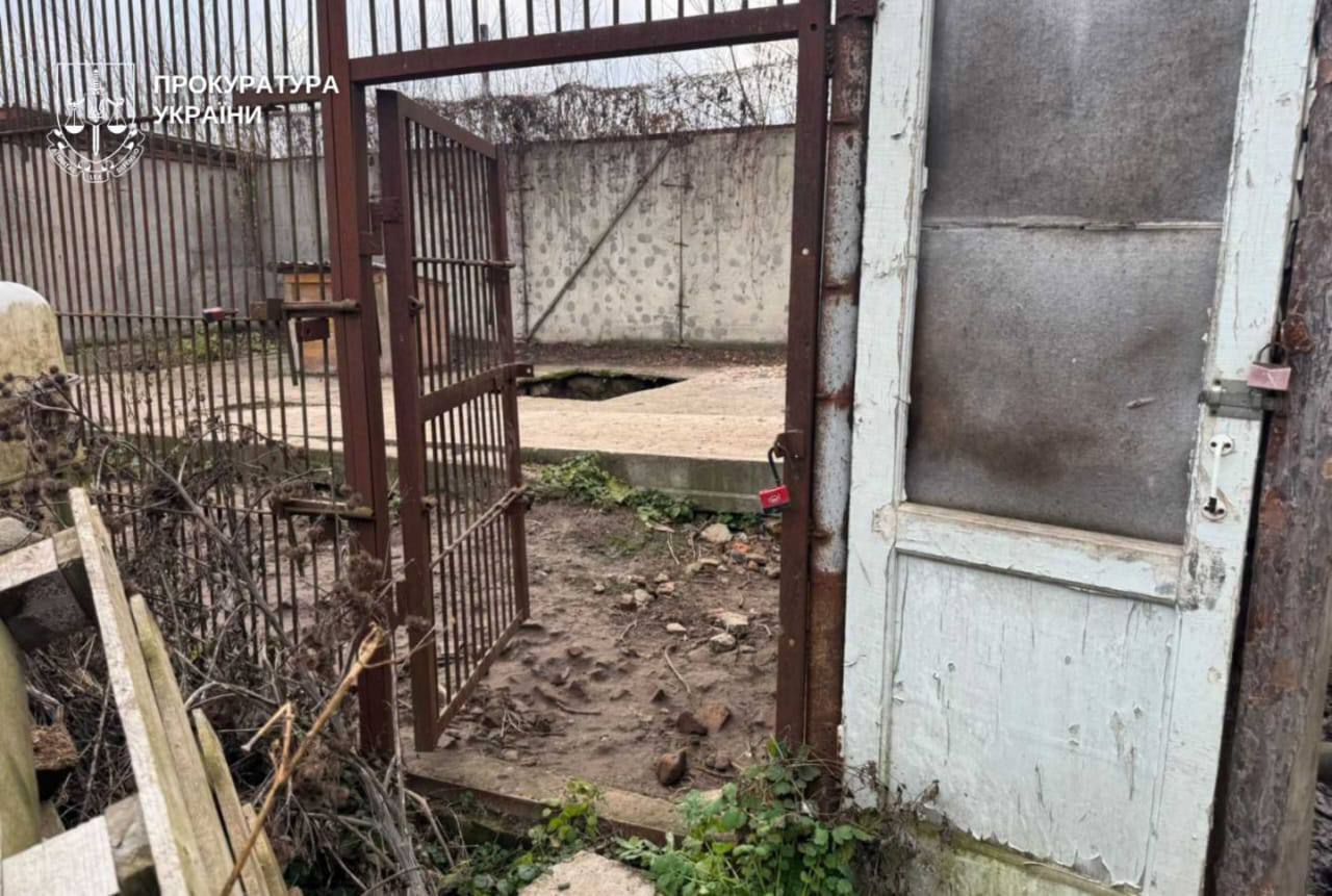 У Хмельницькому втекли дві левиці: що відомо про інцидент та чи знайшли хижаків
