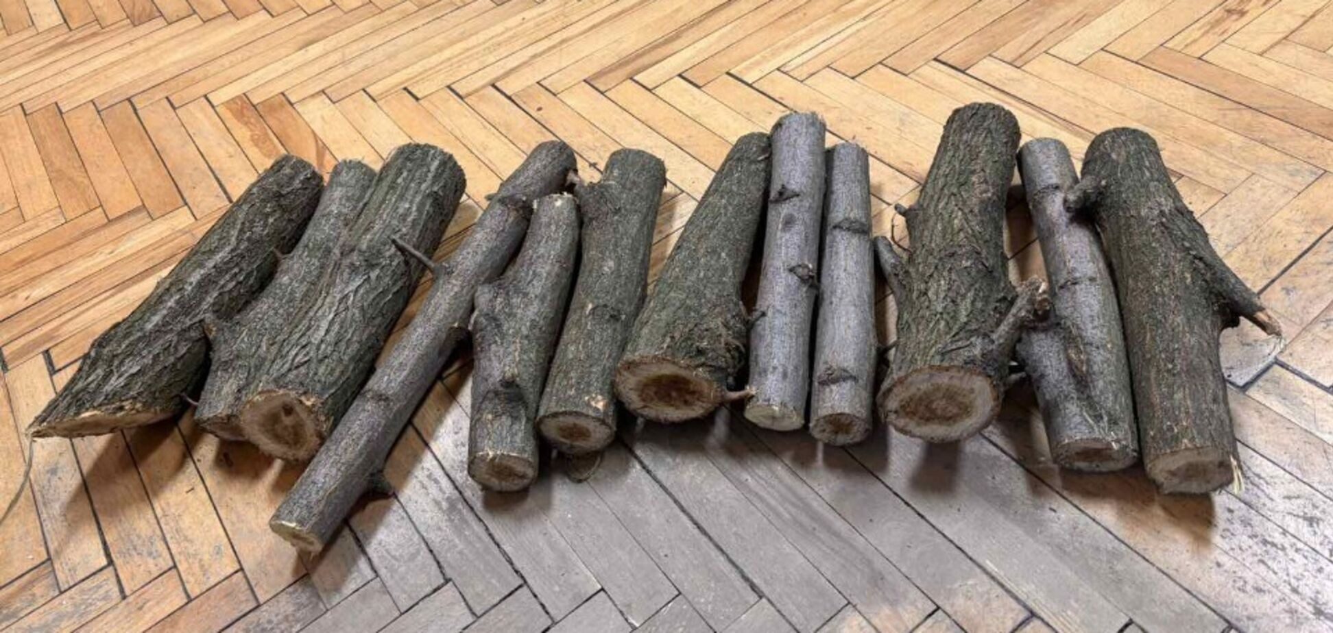 Исполнительная служба изъяла у украинца 12 палок: выставила на аукцион ➤ Prozoro.net.ua