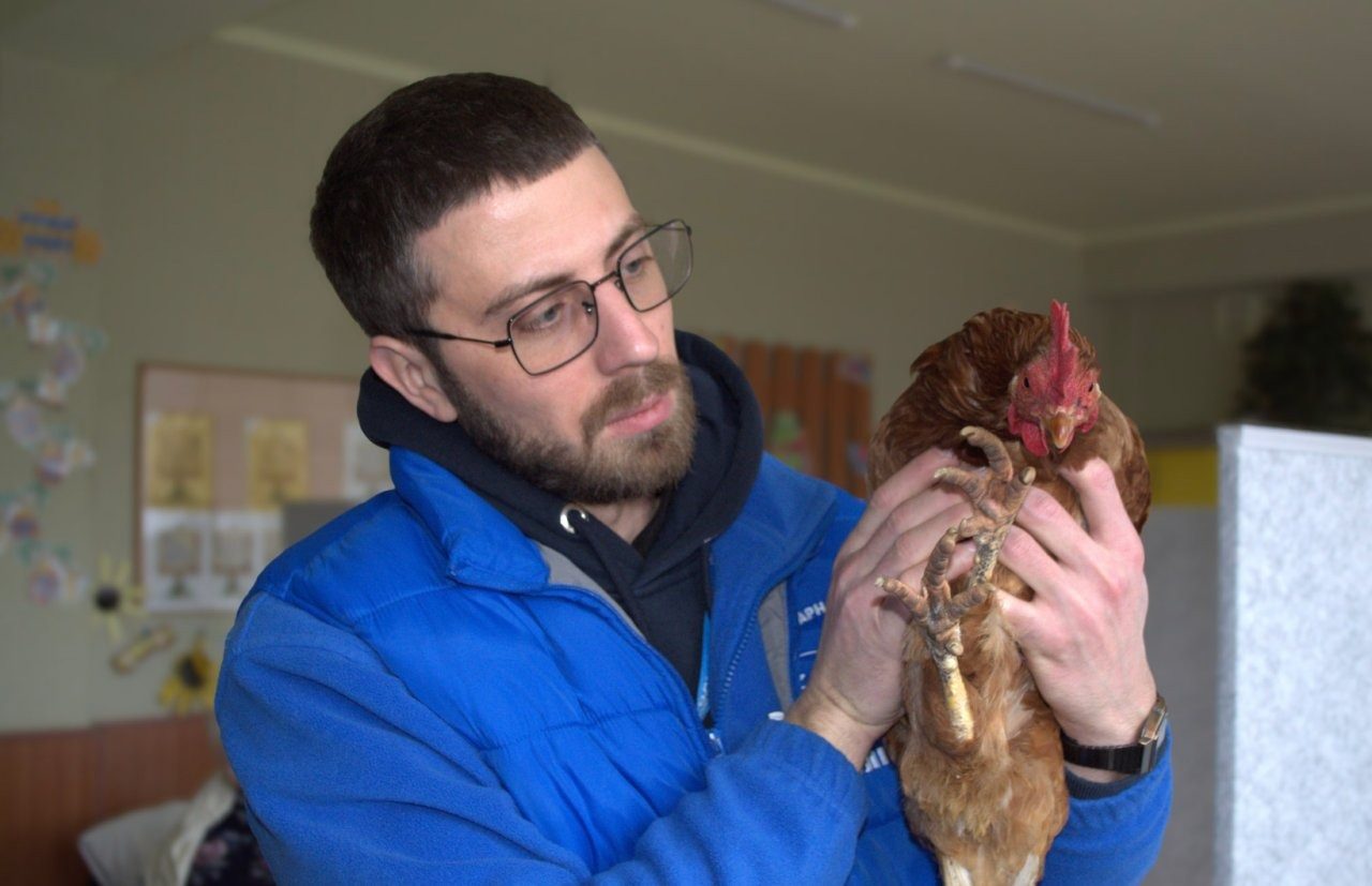 Деда с курицей обсуждают по всей Украине