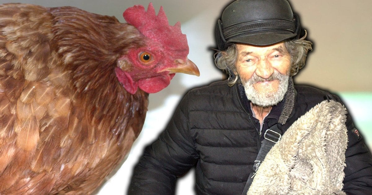 Деда с курицей обсуждают по всей Украине