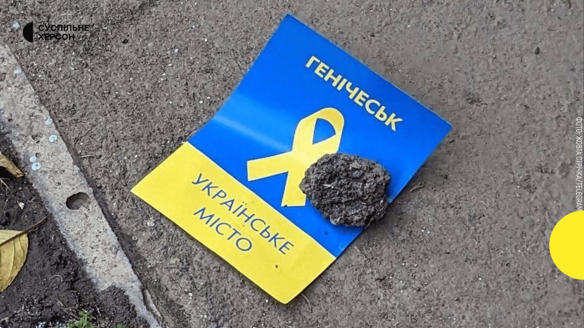 Українку з Генічеська засудили в РФ до 12 років ув’язнення після побиття за українську мову