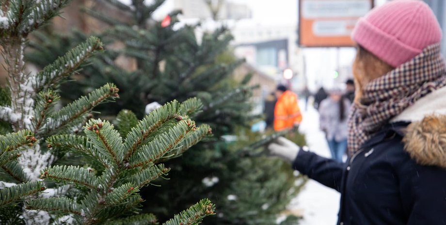 Где и за сколько купить новогоднюю елку в Киеве