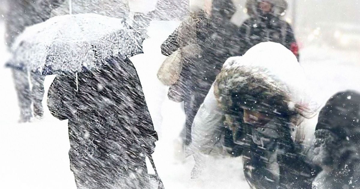 Метеоролог предупредила украинцев, какой будет погода в феврале ➤ Prozoro.net.ua