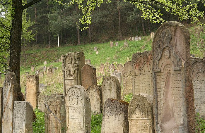 Втричі більше ніж Ватикан: де знаходиться найбільше кладовище України  ➤ Prozoro.net.ua