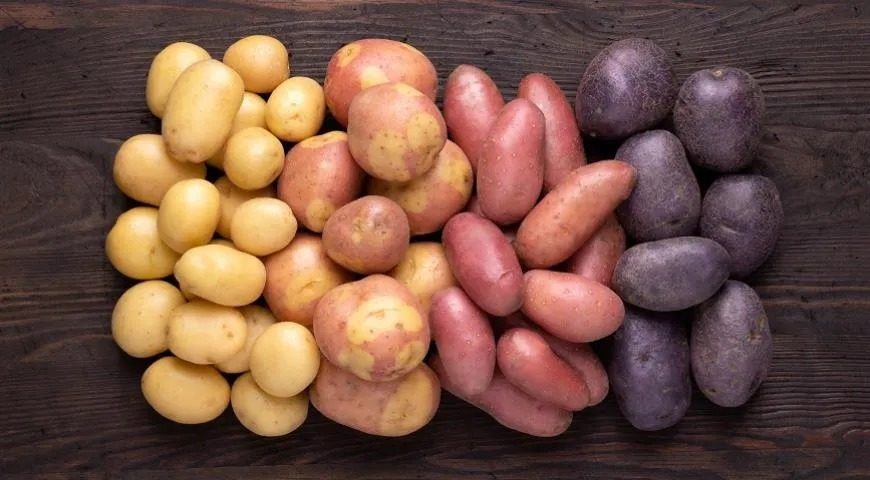 Названы признаки самого полезного картофеля: где много витаминов