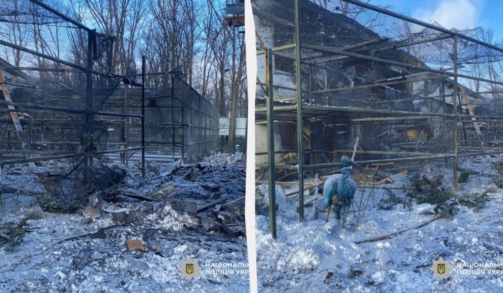 Армія РФ обстріляла екопарк під Харковом: постраждали леви та птахи