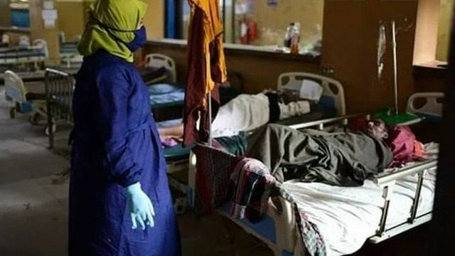 Смертельний вірус Ніпах поширюється світом: подробиці