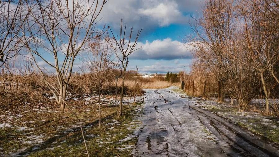 Потепление близко, но весна далеко: какой будет погода в ближайшие дни