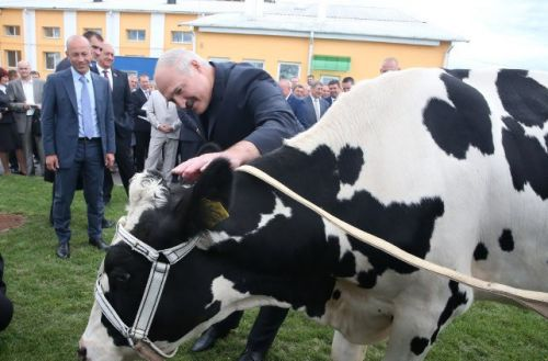 Частный зоопарк диктатора: каких животных удерживает Лукашенко