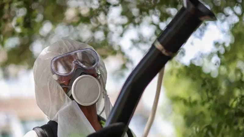 Европу атакует тропический вирус: как уберечься от опасной болезни