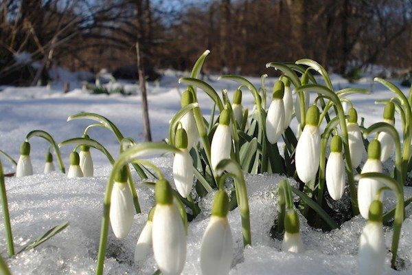 Оттепель или новые морозы? Чего ждать в начале весны ➤ Prozoro.net.ua