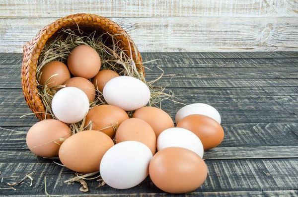 Какие яйца выбрать: эксперты объяснили, что полезнее и вкуснее