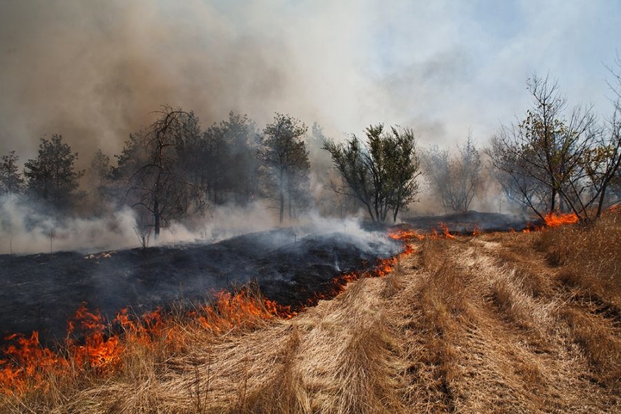 Нова небезпека через сонячну погоду: що потрібно знати