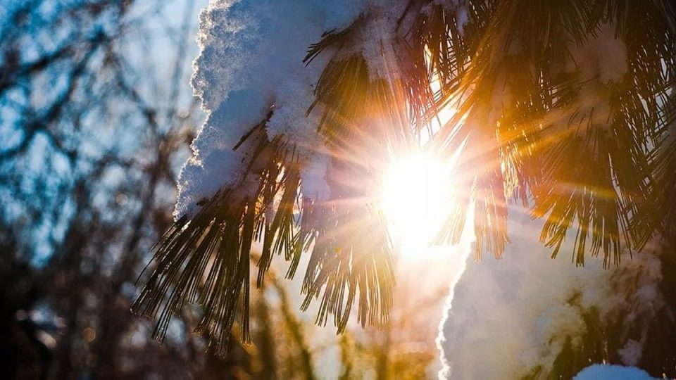Солнечная погода принесла в Украину новую опасность ➤ Prozoro.net.ua