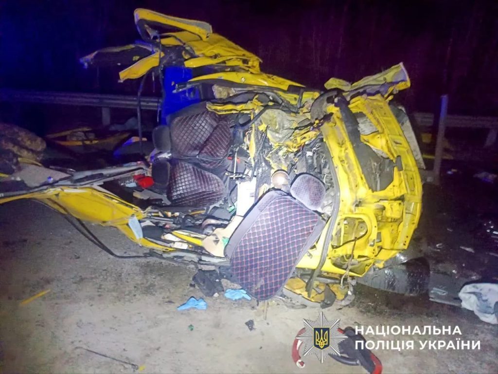 У ДТП загинув відомий український еколог Володимир Борейко