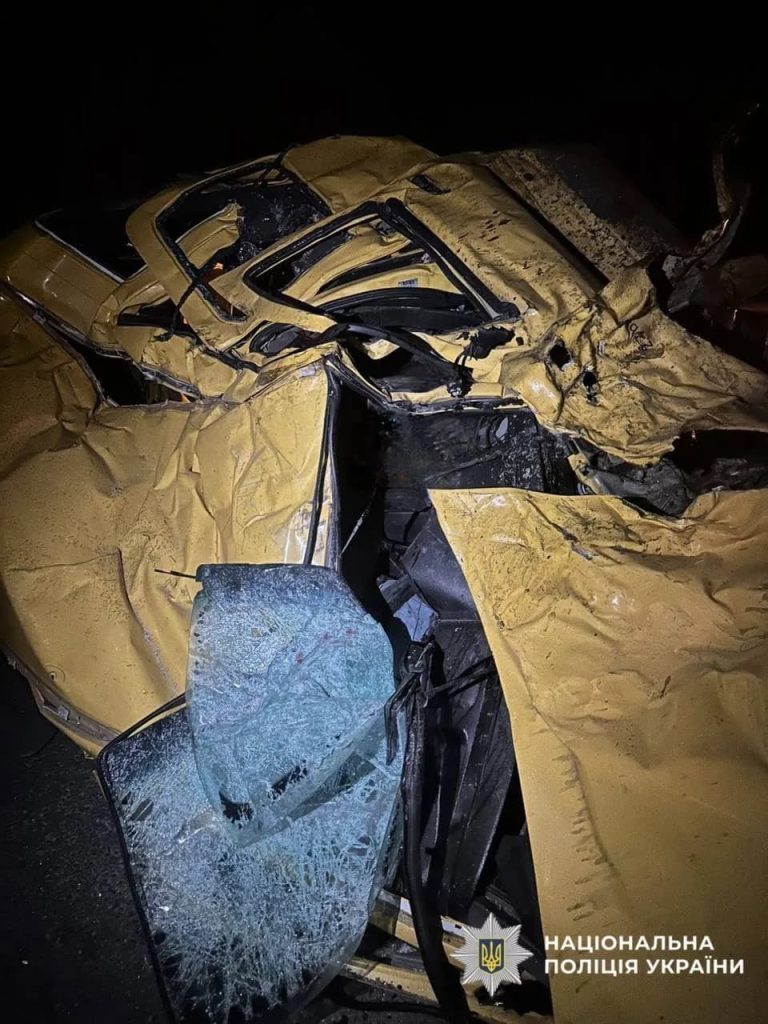 У ДТП загинув відомий український еколог Володимир Борейко