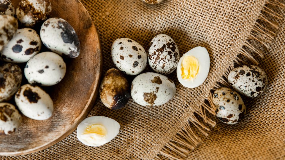 Перепелині яйця: суперфуд чи перебільшення