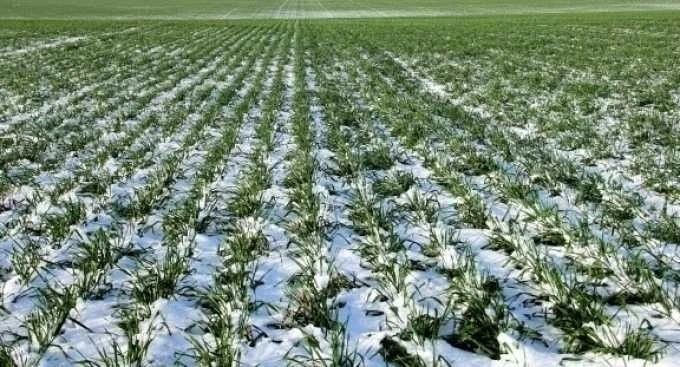 Штормове попередження в Україні: що буде з погодою 27–28 квітня