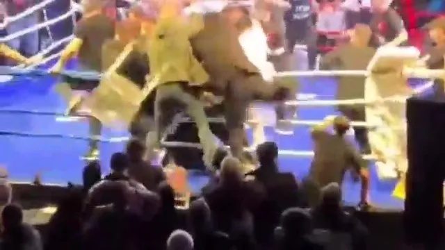 Бійка на рингу: натовп побив російського боксера