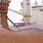 Израиль принял второе судно с краденым зерном: реакция Украины ➤ Prozoro.net.ua