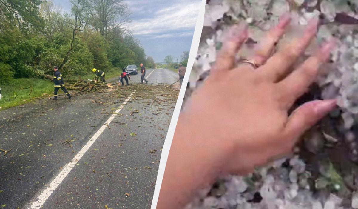 Ветер, град и снег: что непогода успела натворить в Украине (фото, видео) ➤ Prozoro.net.ua