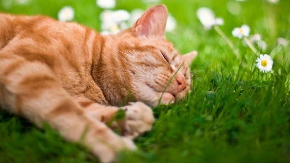 Резкое потепление уже близко: названа дата ➤ Prozoro.net.ua