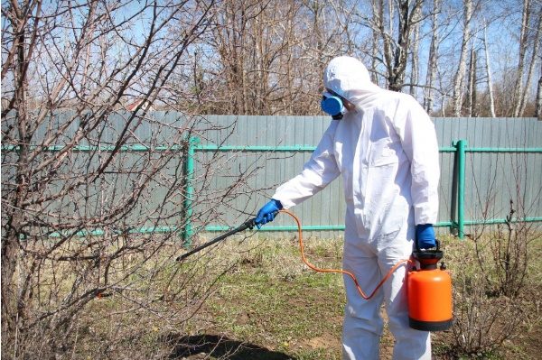 Смертельная опасность уже в Украине: предупреждение для всех ➤ Prozoro.net.ua