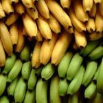 Какие бананы полезнее — зеленые или желтые ➤ Prozoro.net.ua