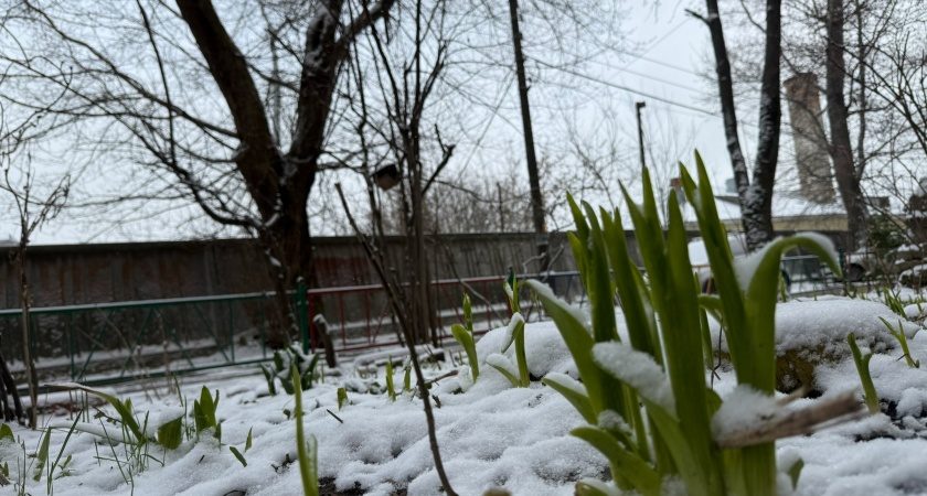 Нове похолодання поверне в Україну заморозки: коли чекати