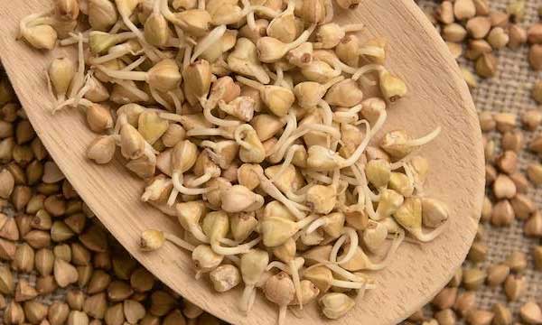 Чем разнообразить завтрак: варианты кроме овсянки и манки