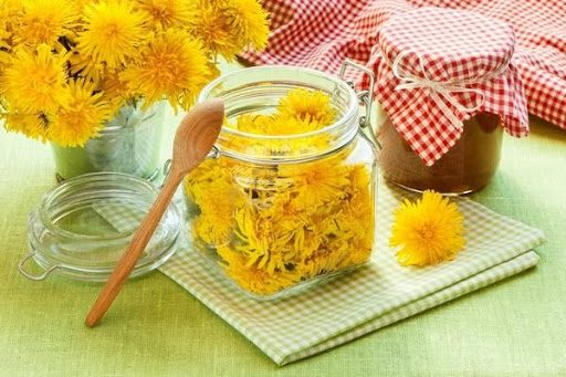 Мед из одуванчиков: лучшие рецепты